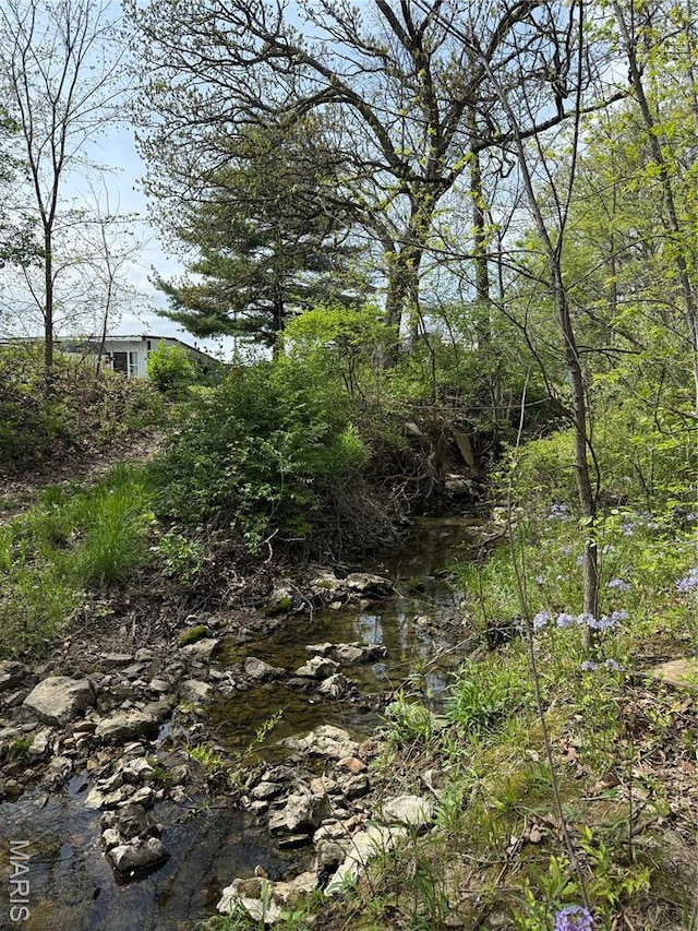 56 Berger Rd, Middletown, MO 63359 - view of undeveloped land
