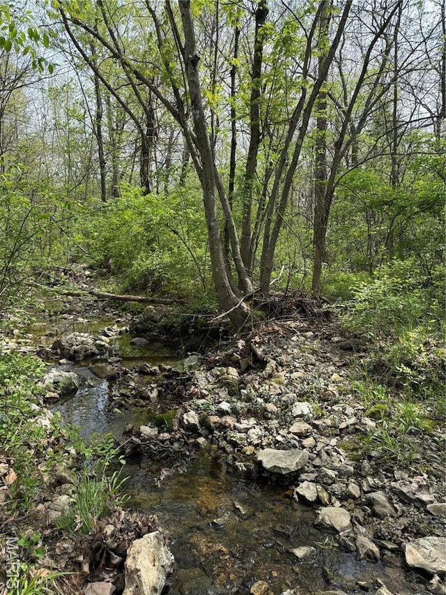 56 Berger Rd, Middletown, MO 63359 - view of woods