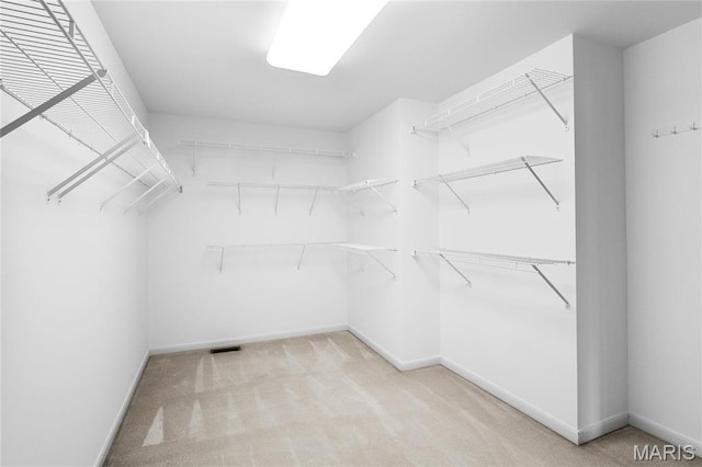 1309 Wellington Valley Ct, Chesterfield, MO 63005 - walk in closet featuring light carpet