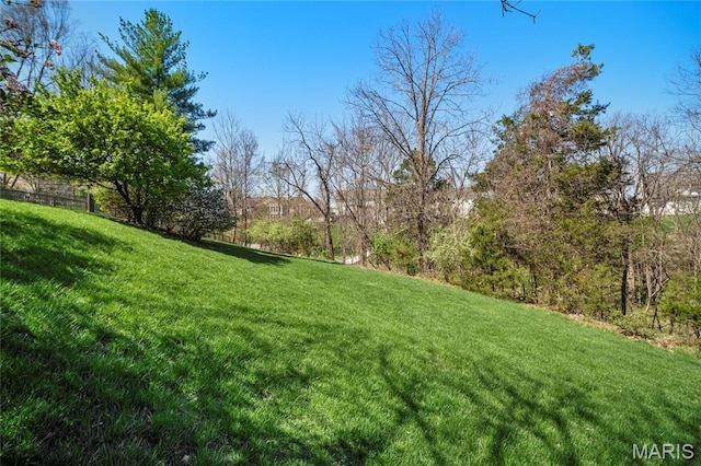 1309 Wellington Valley Ct, Chesterfield, MO 63005 - view of green lawn