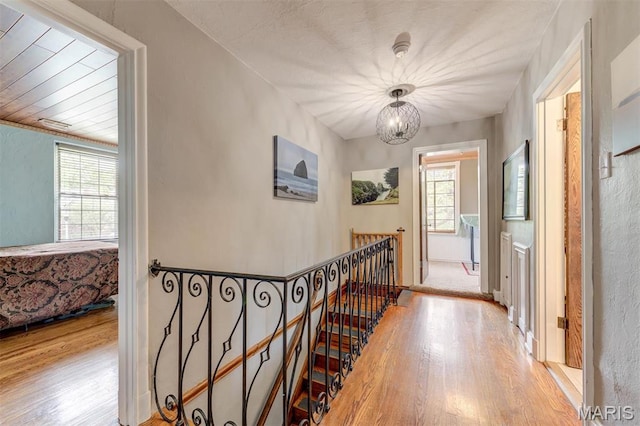 7601 Gannon Ave, Saint Louis, MO 63130