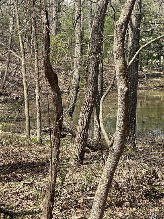 27191 Sunnyside Rd, Warrenton, MO 63383 - photo 2