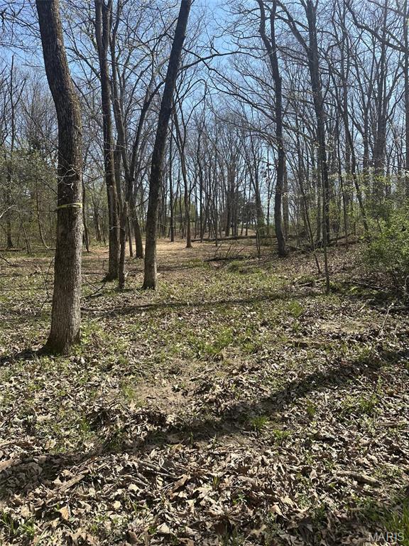 27191 Sunnyside Rd, Warrenton, MO 63383 - photo 3