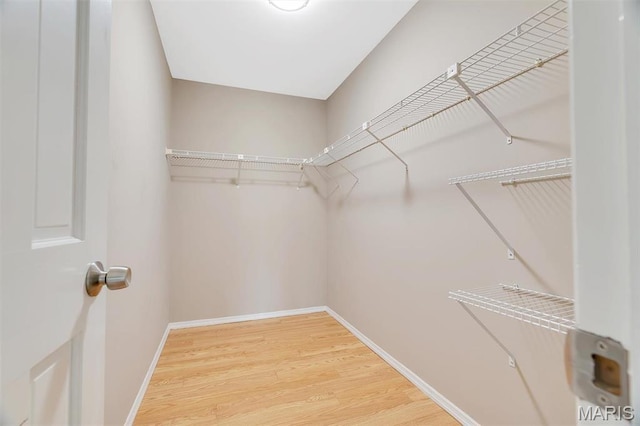 1316 Holgate Dr Unit G5, Ballwin, MO 63021 - walk in closet featuring light wood-style flooring