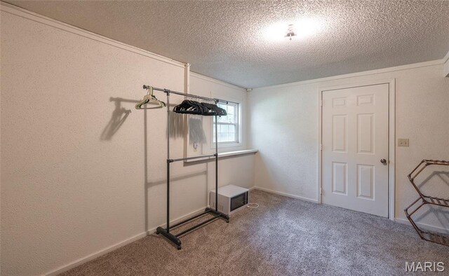 14959 Turkey, Saint Robert, MO 65583