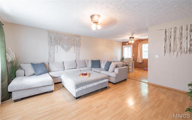 14959 Turkey, Saint Robert, MO 65583