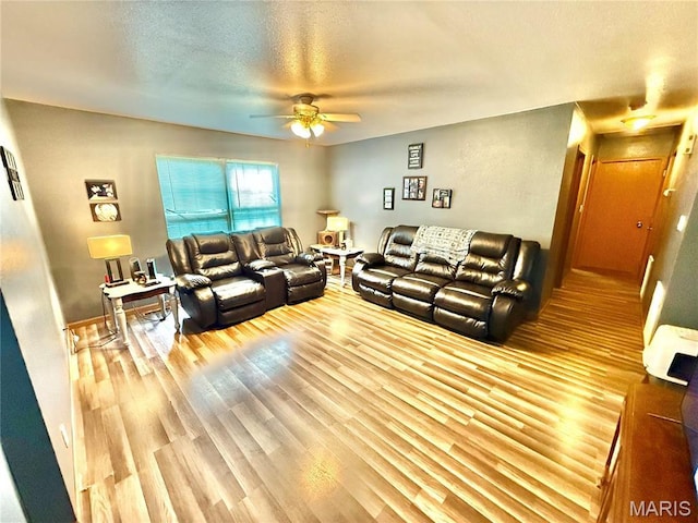 305 Houser St, Park Hills, MO 63601 - living room with ceiling fan, wood finished floors, and a textured ceiling