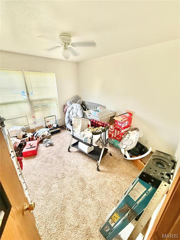 305 Houser St, Park Hills, MO 63601 - bedroom featuring carpet floors and a ceiling fan