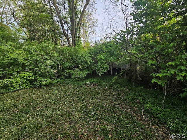 1628 Kemper Pl, Saint Louis, MO 63138 - view of yard