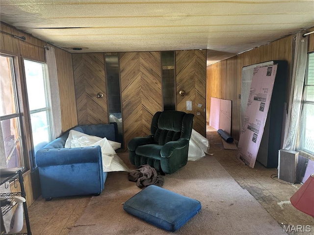 215 Meddows Ln, Ofallon, IL 62269 - living area featuring wood walls and plenty of natural light