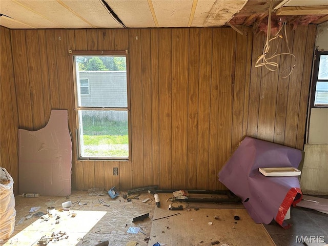 215 Meddows Ln, Ofallon, IL 62269 - unfurnished room featuring wooden walls
