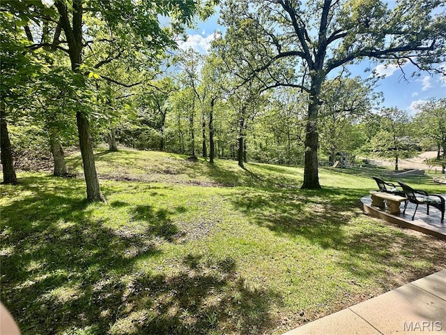 13 Montauk Ct, Leadington, MO 63601 - view of grassy yard