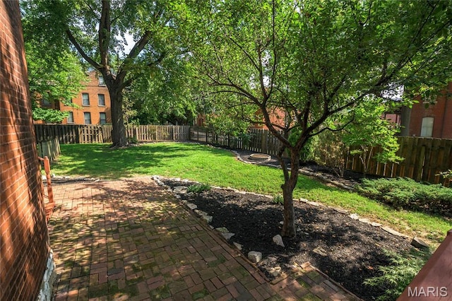 1701 Carroll St, Saint Louis, MO 63104