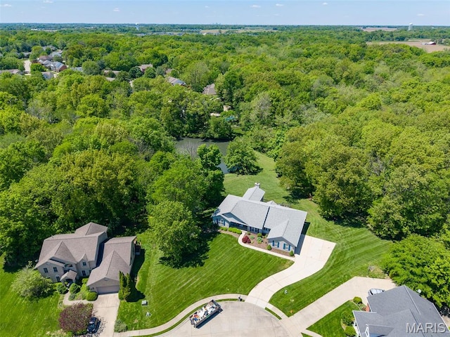 aerial view of a forest