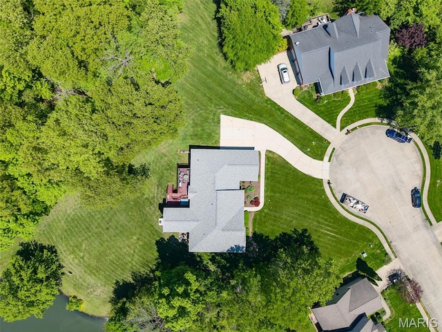 bird's eye view