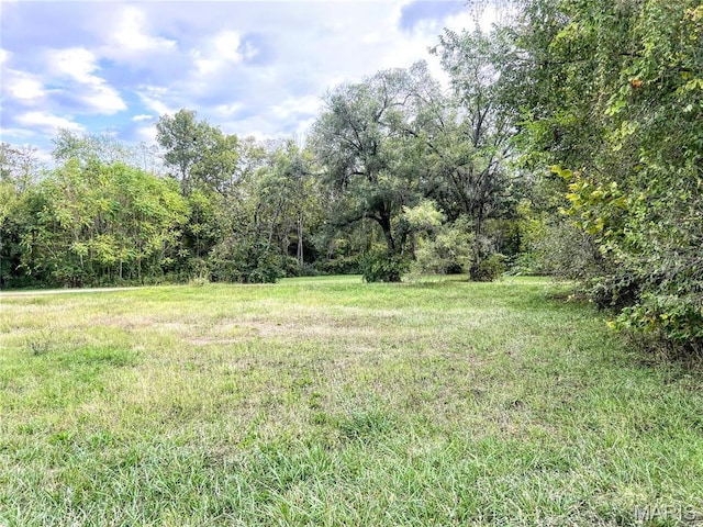 0 E Elvins Blvd, Park Hills, MO 63601