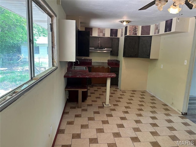 2145 Freckles Dr, High Ridge, MO 63049 - dining space featuring ceiling fan and baseboards
