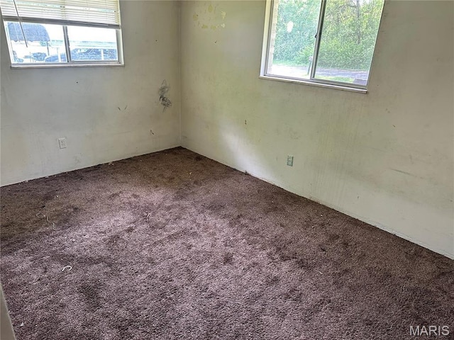 2145 Freckles Dr, High Ridge, MO 63049 - empty room featuring carpet flooring and plenty of natural light