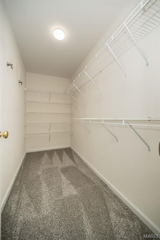 5541 Wavecrest Cir, Saint Charles, MO 63304 - walk in closet featuring carpet