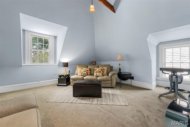 2612 S Compton Ave, Saint Louis, MO 63118 - carpeted living room with vaulted ceiling