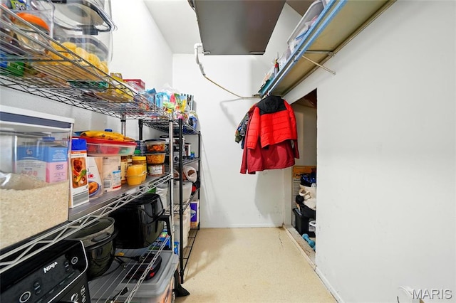 10566 Carroll Wood Way, Saint Louis, MO 63128 - view of storage
