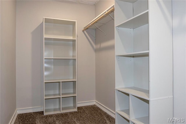 walk in closet with dark carpet