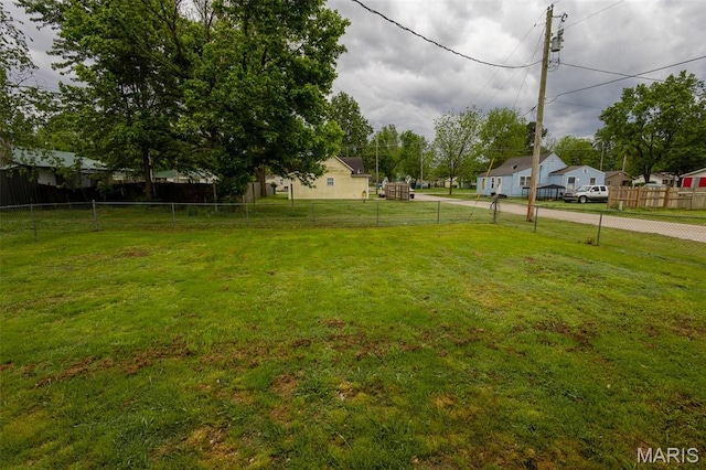 1042 Ash St, Poplar Bluff, MO 63901 - view of yard