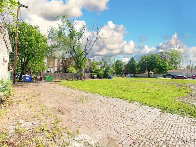 3113 Ohio Ave, Saint Louis, MO 63118 - photo 3