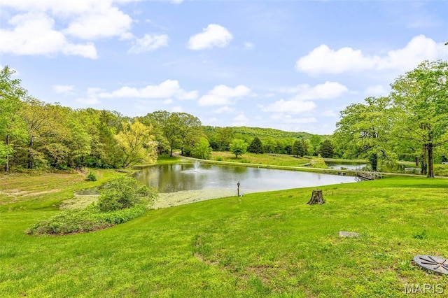 5259 US Highway 61, Bloomsdale, MO 63627 - water view with a heavily wooded area