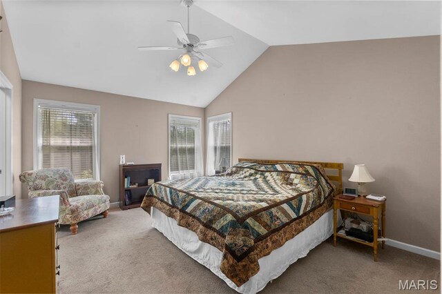 677 Pleasant Lake Dr, Jackson, MO 63755 - photo 18