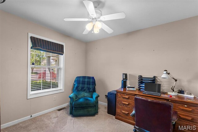 677 Pleasant Lake Dr, Jackson, MO 63755 - photo 23