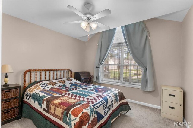 677 Pleasant Lake Dr, Jackson, MO 63755 - photo 25