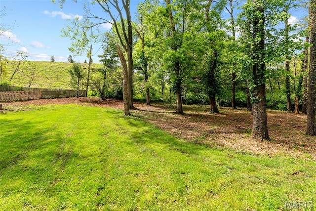 19 Sackston Woods Ln, Saint Louis, MO 63141 - view of yard