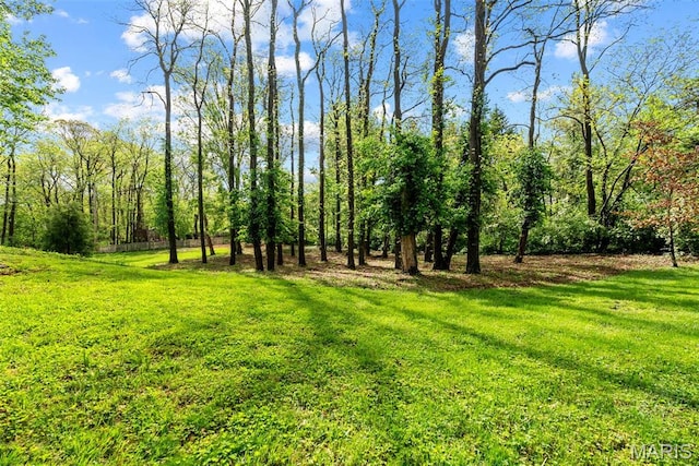 19 Sackston Woods Ln, Saint Louis, MO 63141 - view of grassy yard