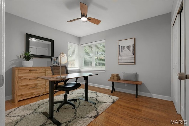 1345 Cheshire Ln, Webster Groves, MO 63119 - home office with ceiling fan, baseboards, and light wood-style flooring