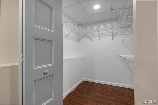 2022 Tramore Ct, Chesterfield, MO 63017 - spacious closet featuring dark wood finished floors and a drop ceiling