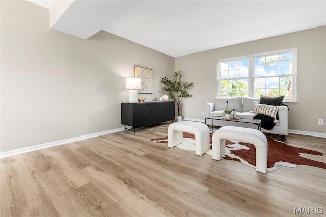 948 Barbara Ann Ln, Ellisville, MO 63021 - living area with light wood-style flooring and baseboards