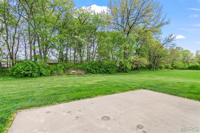 705 Fulton St, Gillespie, IL 62033 - view of grassy yard with a patio and view of scattered trees