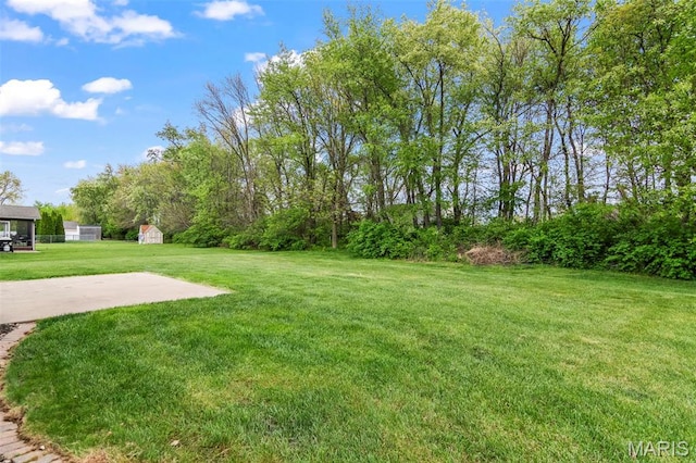705 Fulton St, Gillespie, IL 62033 - view of grassy yard featuring a shed and an outdoor structure