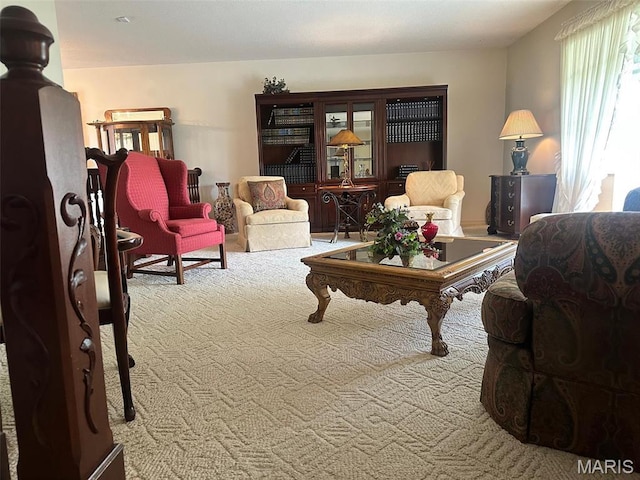 109 Link Dr, Sikeston, MO 63801 - living room with carpet
