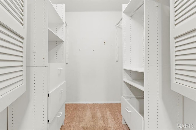 1626 Viola Dr, Imperial, MO 63052 - walk in closet featuring light colored carpet