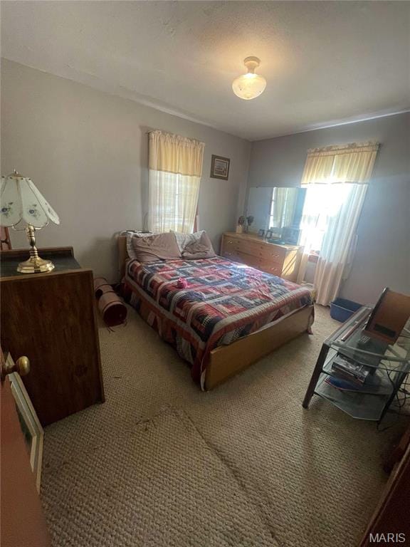 bedroom featuring multiple windows and carpet floors