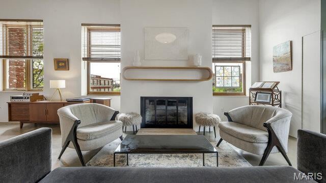 4100 Laclede Ave Unit 314, Saint Louis, MO 63108 - living room featuring plenty of natural light and a glass covered fireplace