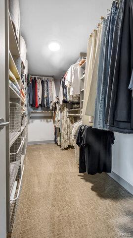 4100 Laclede Ave Unit 314, Saint Louis, MO 63108 - spacious closet with carpet