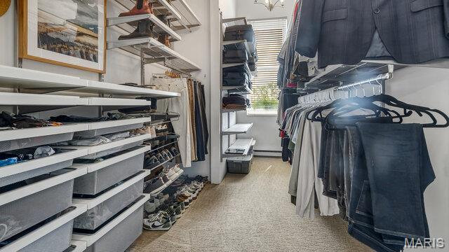 4100 Laclede Ave Unit 314, Saint Louis, MO 63108 - spacious closet with carpet floors