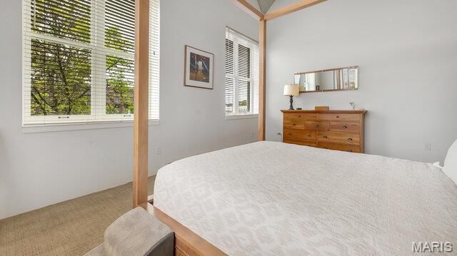 4100 Laclede Ave Unit 314, Saint Louis, MO 63108 - bedroom featuring carpet