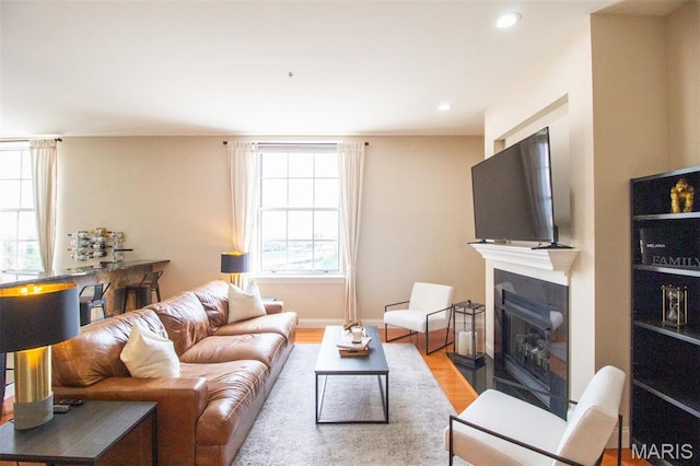 living area with a glass covered fireplace, wood finished floors, and recessed lighting