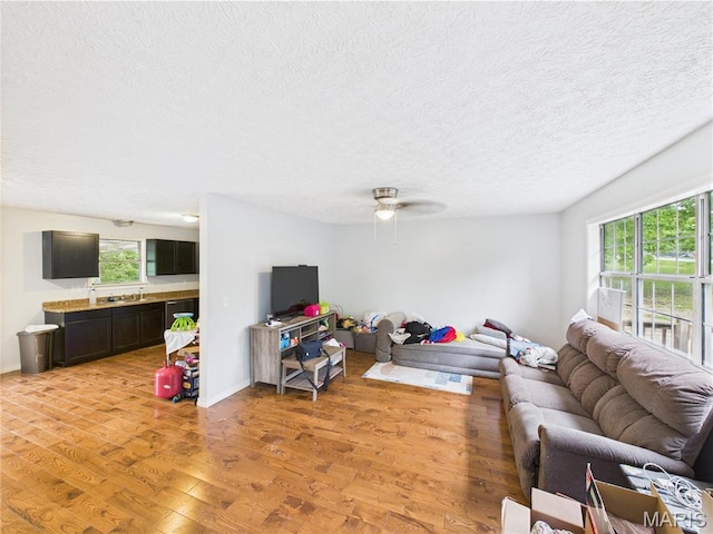 14075 Howard Ln, Dixon, MO 65459 - living area with light wood-style floors, plenty of natural light, a textured ceiling, a ceiling fan, and baseboards