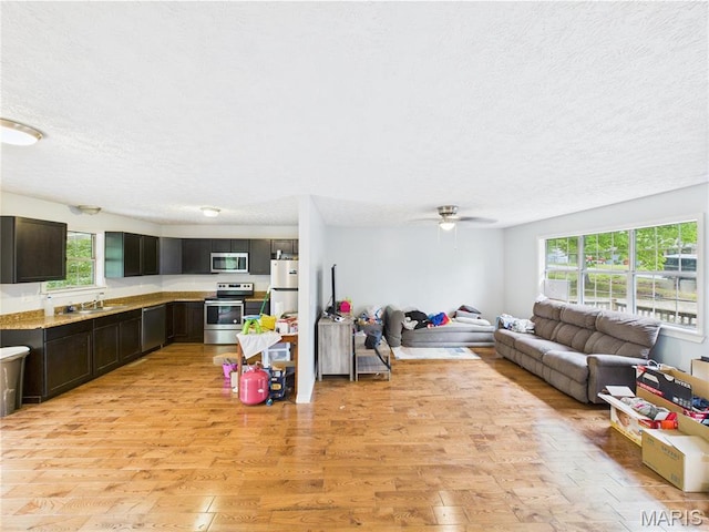 14075 Howard Ln, Dixon, MO 65459 - living room with light wood-style floors, a textured ceiling, plenty of natural light, and ceiling fan