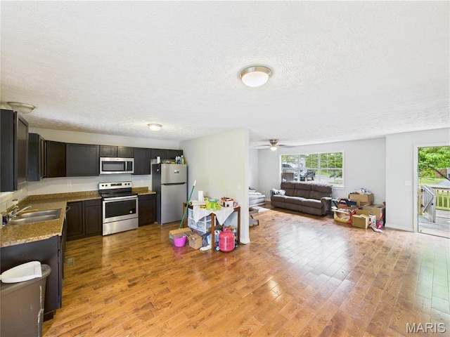 14075 Howard Ln, Dixon, MO 65459 - kitchen featuring stainless steel appliances, plenty of natural light, a sink, a textured ceiling, and light wood finished floors
